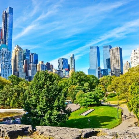 View of Central Park in a sunny day in New York City.