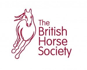 british horse society séjour linguistique équitation