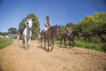 retouche photo 2014-118 UCR